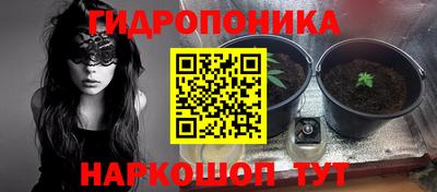 каннабис Кингисепп