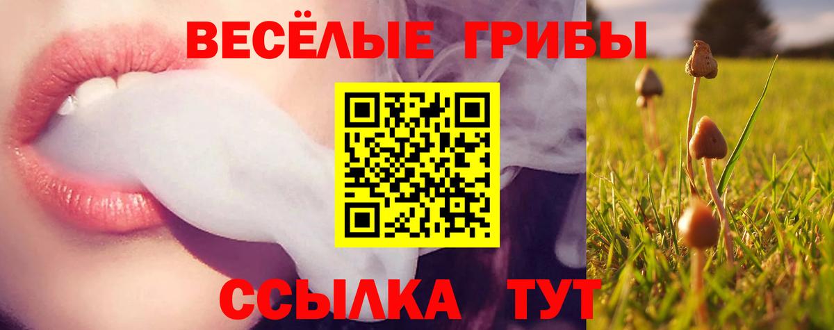 Псилоцибиновые грибы Psilocybe Тулун